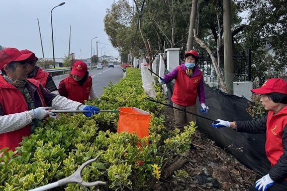 太湖渔港|“渔港因我更美丽”户外环境 整治活动（6）