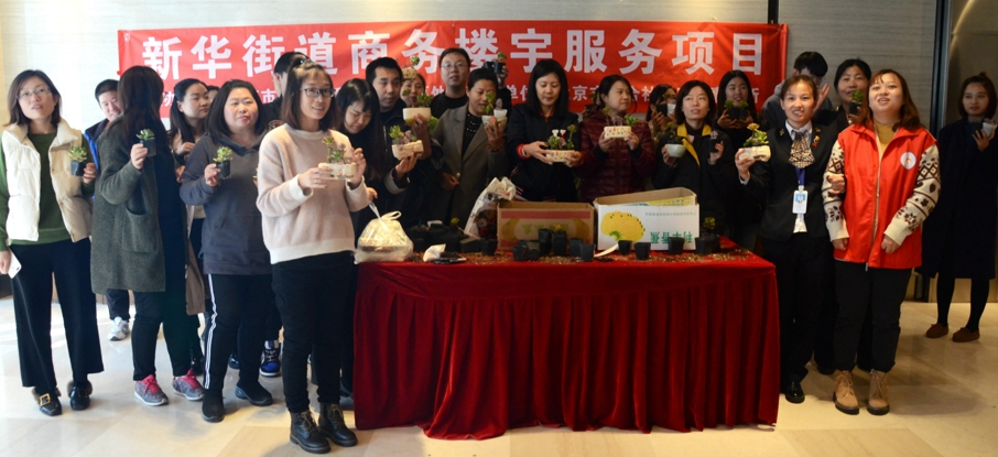 新华街道运河商务区“我爱我家,绿色环保” 多肉种植活动 新华街道运河商务区“我爱我家,绿色环保” 多肉种植活动