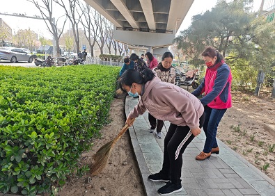 副中心有我丨剪一纸春菊,扫一巷尘埃:九棵树街道小巷管家志愿服务助力清明新风尚 副中心有我丨剪一纸春菊,扫一巷尘埃:九棵树街道小巷管家志愿服务助力清明新风尚