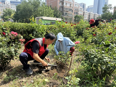 宋叔领航志愿潮,邻里同心焕新篇 ——西上园社区全民共建美好家园行动 宋叔领航志愿潮,邻里同心焕新篇 ——西上园社区全民共建美好家园行动