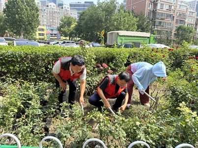宋叔领航志愿潮,邻里同心焕新篇 ——西上园社区全民共建美好家园行动 宋叔领航志愿潮,邻里同心焕新篇 ——西上园社区全民共建美好家园行动