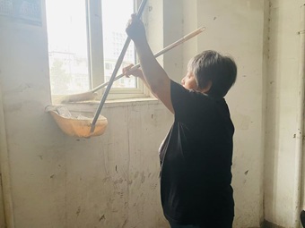 最美里邻|楼门焕新聚合力 邻里共治谱新篇 ———东里社区环境提升行动圆满落幕 最美里邻|楼门焕新聚合力 邻里共治谱新篇 ———东里社区环境提升行动圆满落幕