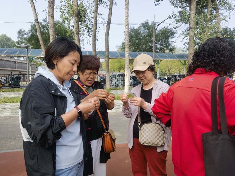 志愿赋能,聚力前行 ——白将军社区志愿培训活动圆满举行 志愿赋能,聚力前行 ——白将军社区志愿培训活动圆满举行