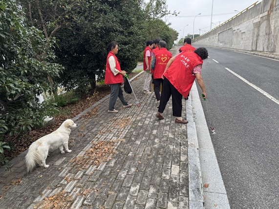 梅园社区|“洁净家园,志愿同行”活动 梅园社区|“洁净家园,志愿同行”活动