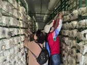 聚力志愿赋能,共筑邻里温情 ——中仓社区志愿赋能活动圆满举行 聚力志愿赋能,共筑邻里温情 ——中仓社区志愿赋能活动圆满举行