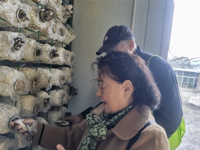 聚力志愿赋能,共筑邻里温情 ——中仓社区志愿赋能活动圆满举行 聚力志愿赋能,共筑邻里温情 ——中仓社区志愿赋能活动圆满举行