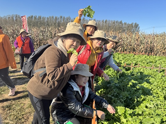 拾趣秋日农场 情暖志愿同行—— 京贸北区社区志愿者农场赋能活动圆满举行 拾趣秋日农场 情暖志愿同行—— 京贸北区社区志愿者农场赋能活动圆满举行