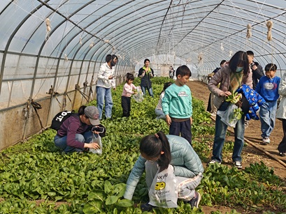 走进田间探职业!潞城这场实践课,让娃在劳动中读懂家乡、点亮梦想! 走进田间探职业!潞城这场实践课,让娃在劳动中读懂家乡、点亮梦想!