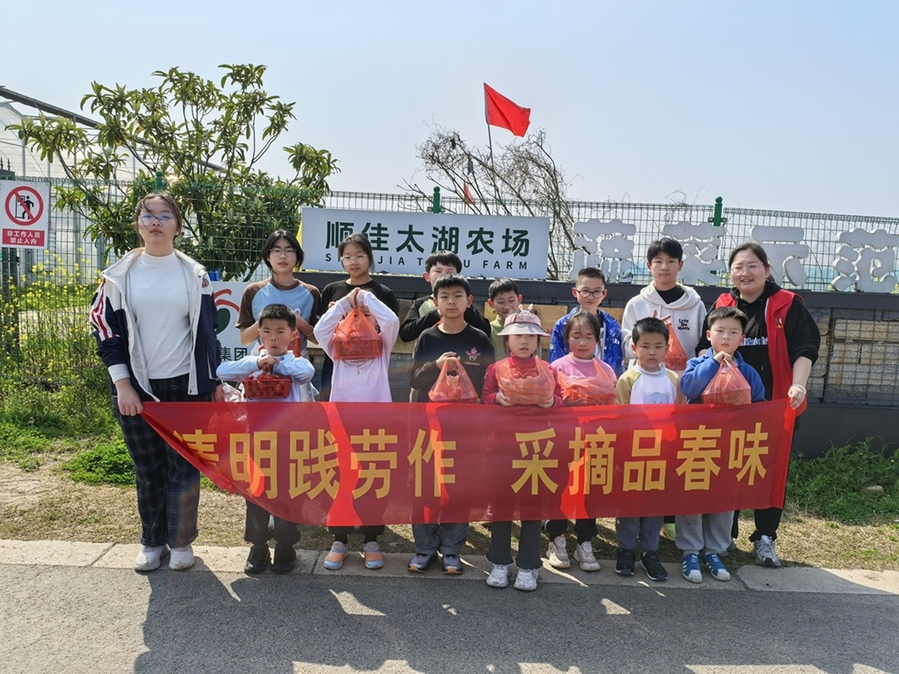 冲山村|清明践劳作,采摘品春味—文化活动 冲山村|清明践劳作,采摘品春味—文化活动