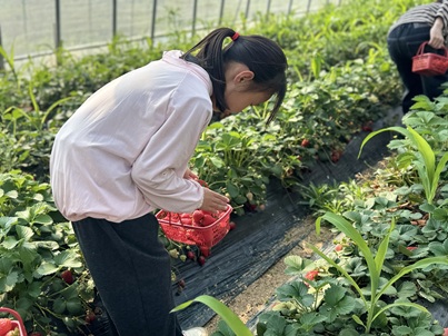 太湖渔港|“自然科普进果园,劳动实践伴成长”科普宣传活动(3) 太湖渔港|“自然科普进果园,劳动实践伴成长”科普宣传活动(3)