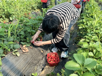 太湖渔港|“自然科普进果园,劳动实践伴成长”科普宣传活动(3) 太湖渔港|“自然科普进果园,劳动实践伴成长”科普宣传活动(3)
