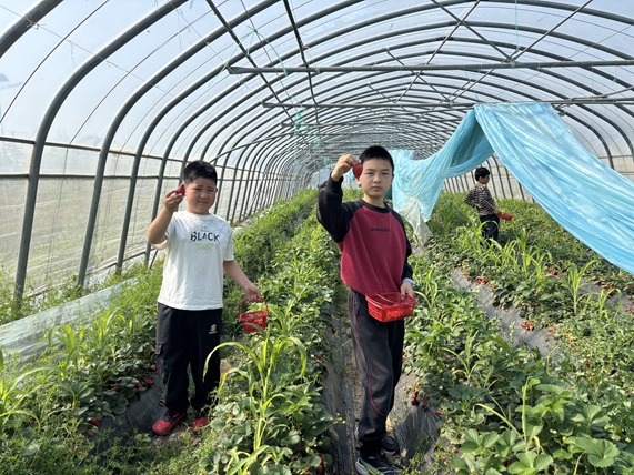 太湖渔港|“自然科普进果园,劳动实践伴成长”科普宣传活动(3) 太湖渔港|“自然科普进果园,劳动实践伴成长”科普宣传活动(3)